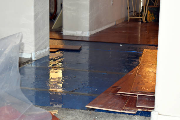 Professional Basement Water Removal technician working in Baldwin, IL