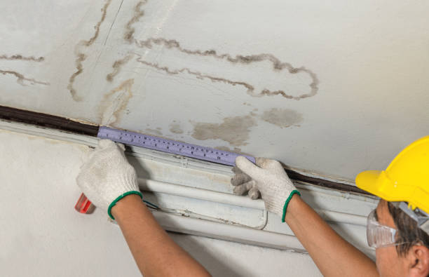 Reliable Basement Water Removal contractor in Baldwin, IL by Water Damage Irwin